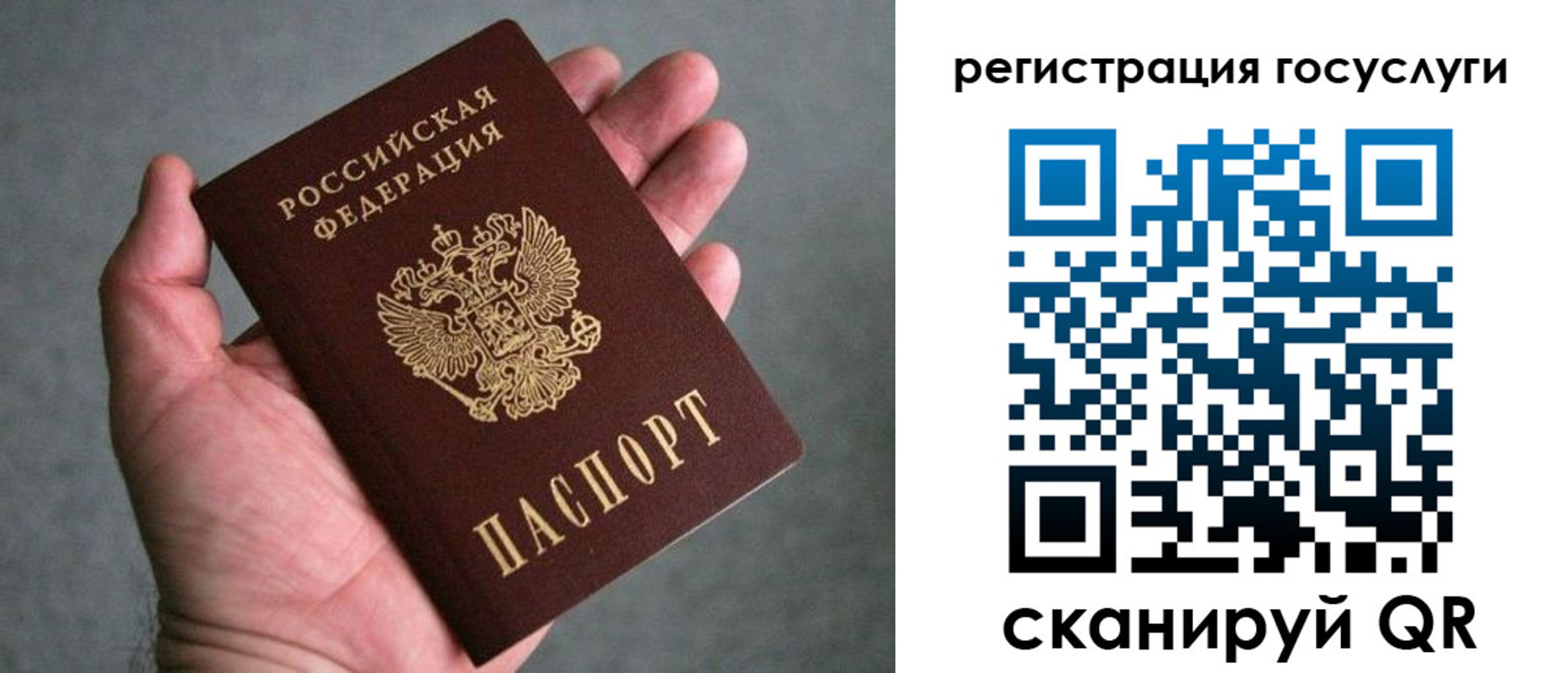 прописка поиск в Няндоме